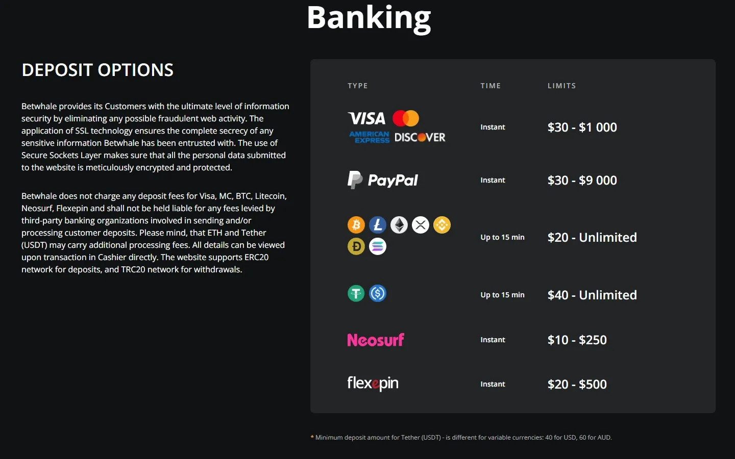 BetWhale Casino payment methods screenshot