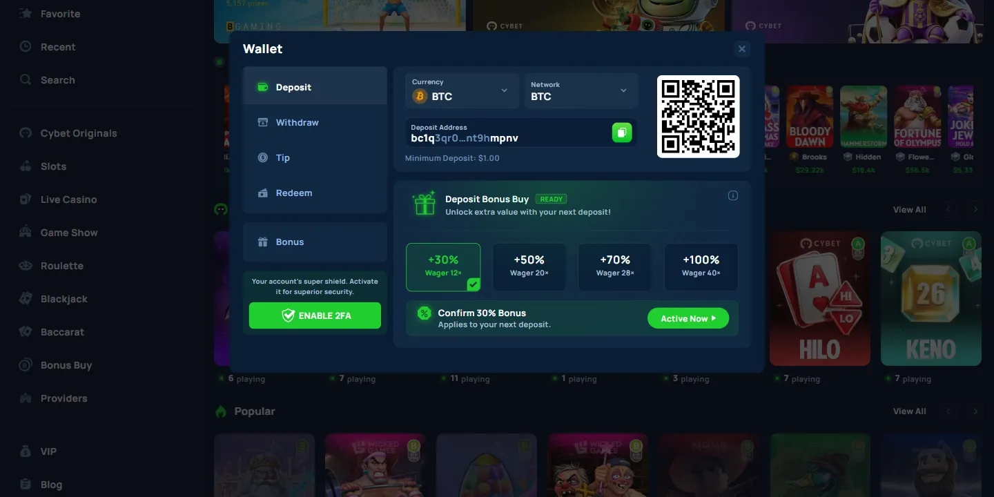 Cybet Casino payment methods screenshot