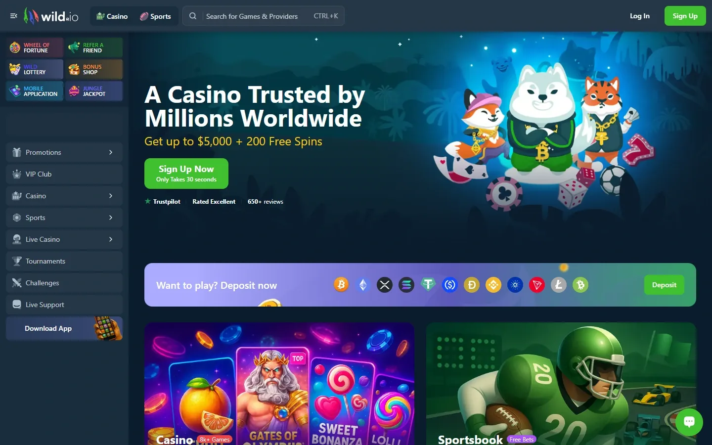 Wild.io homepage screenshot