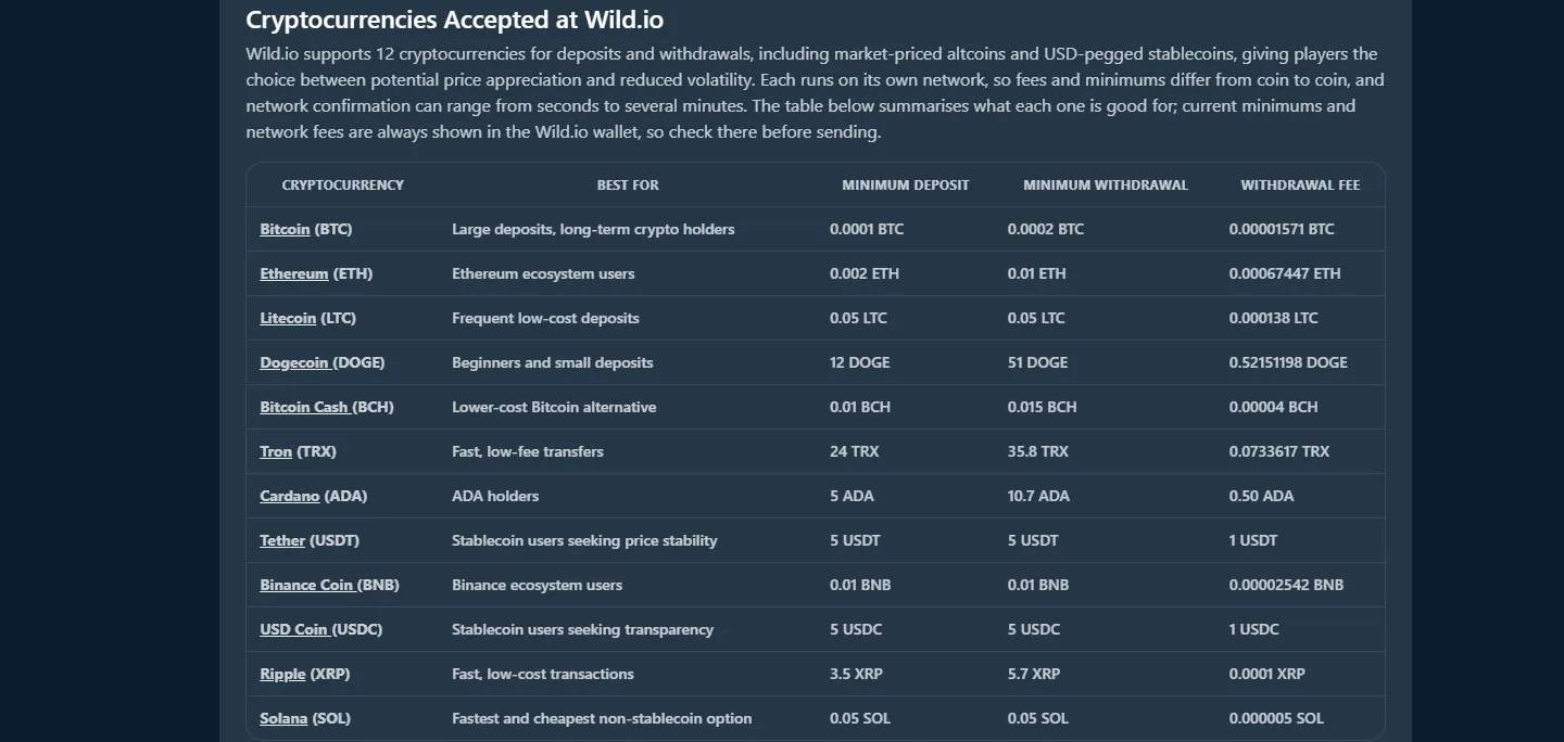 Wild.io payment methods screenshot