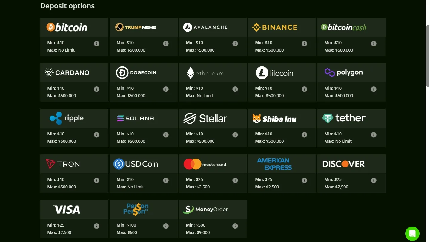 Wild Casino payment methods screenshot