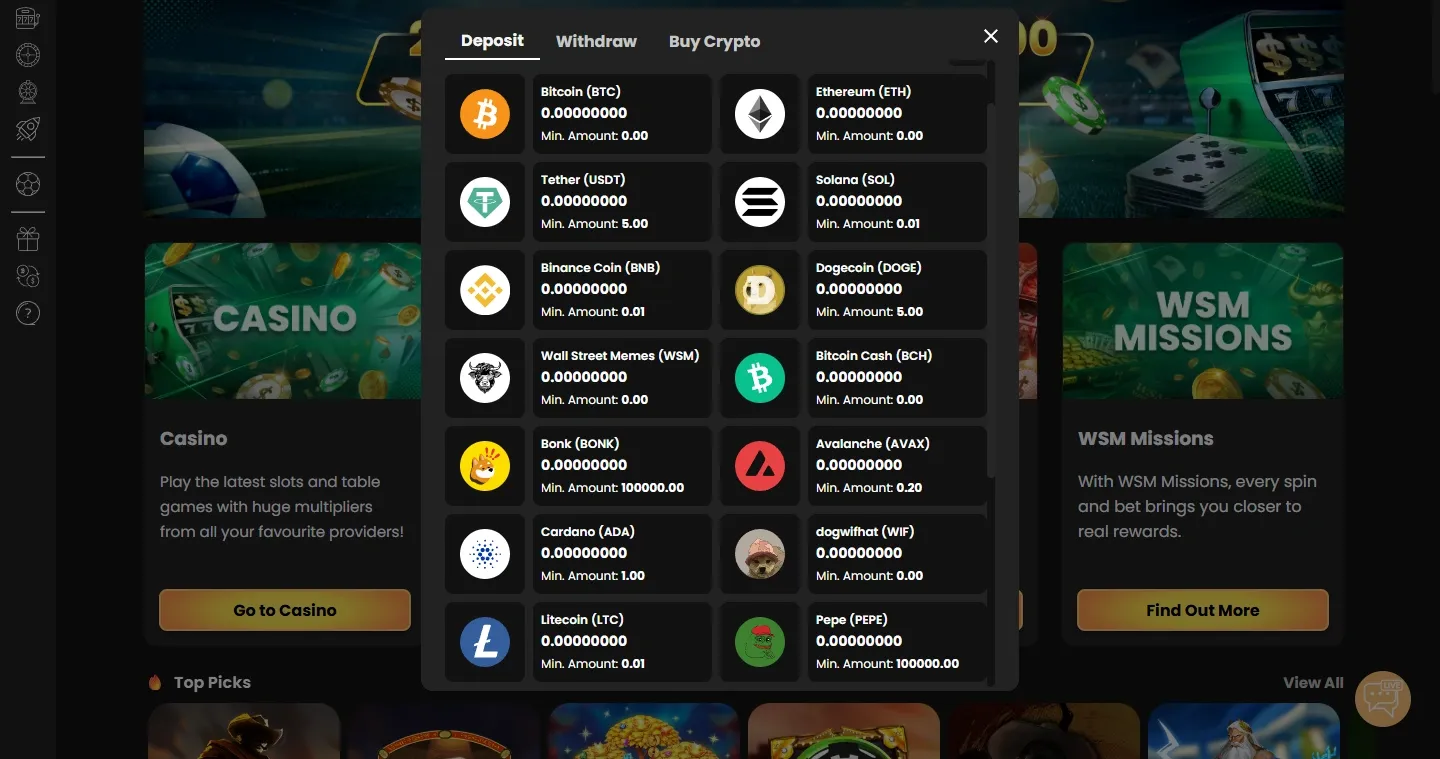 WSM Casino payment methods screenshot
